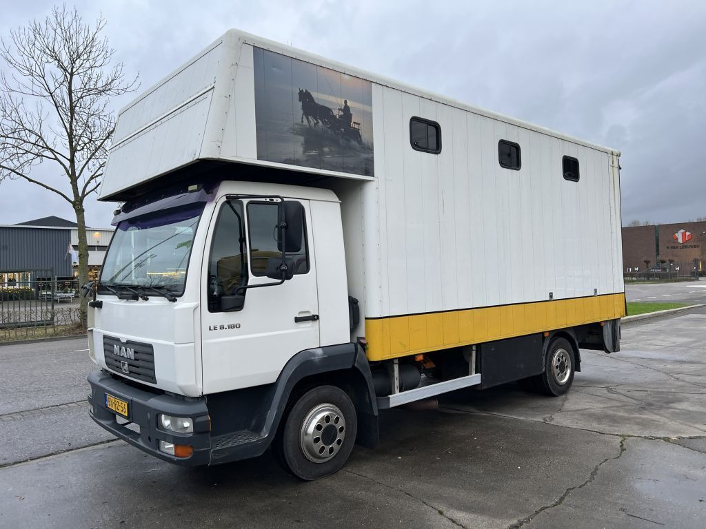 MAN LE 8-180 HORSE TRUCK - 4 PAARDS  - Horse truck: picture 1