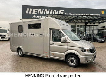 MAN TGE 3 - Sitzer *HENNING*  - Horse truck: picture 1