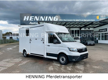 MAN TGE 3 - Sitzer *HENNING LIGHT*  - Horse truck, Commercial vehicle: picture 1
