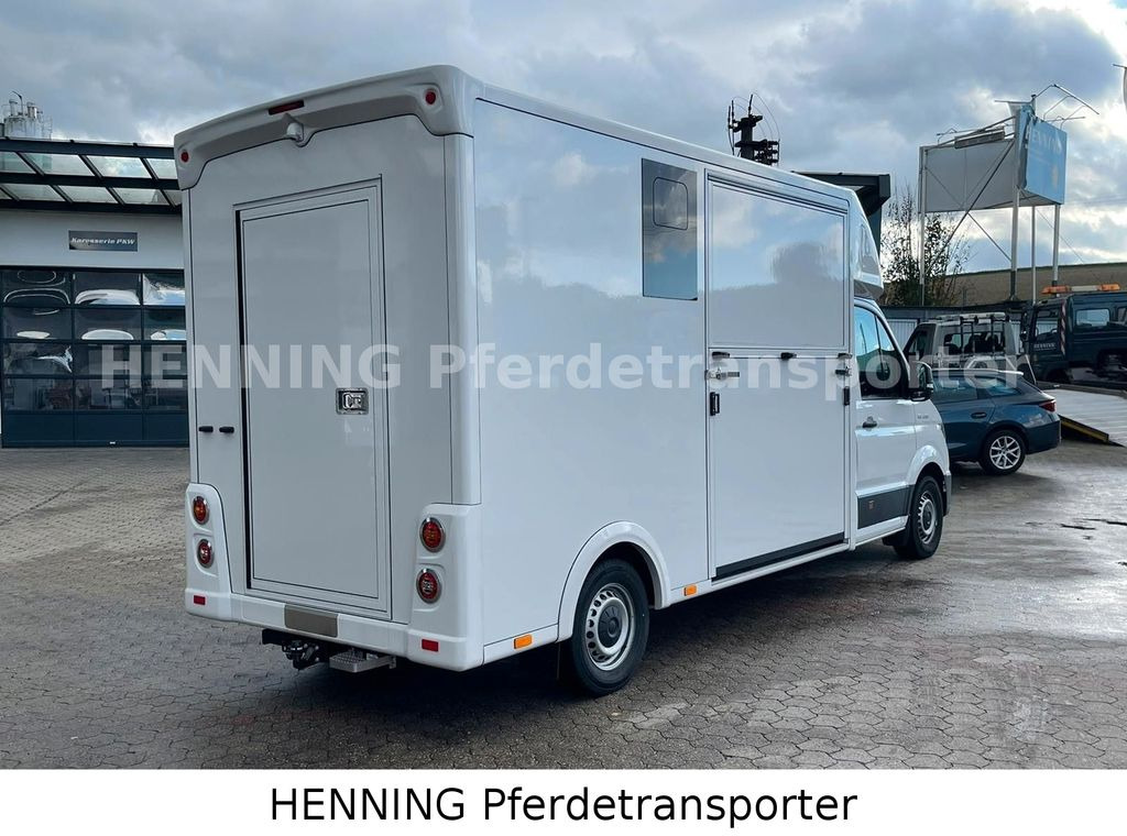 MAN TGE 3 - Sitzer *HENNING LIGHT*  - Horse truck, Commercial vehicle: picture 4