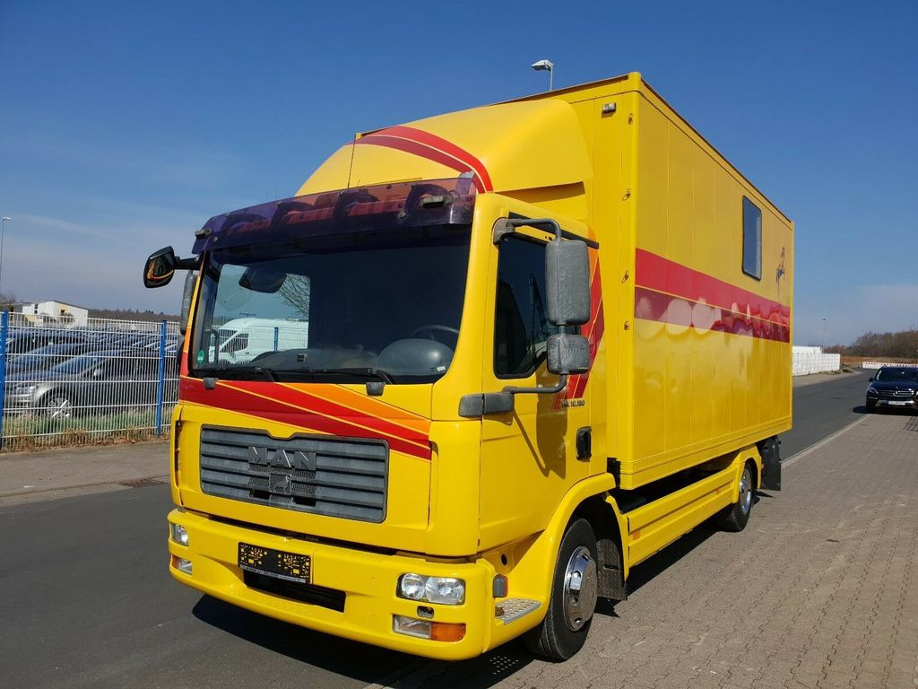 MAN TGL 10.180 Euro 4  Pferdetransporter Horse  - Horse truck: picture 2