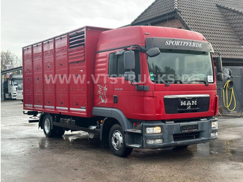 MAN TGL 10.250 4x2 Euro5 1.Stock Westrick  - Livestock truck: picture 1