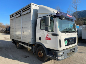 MAN TGL 12.220 - Livestock truck: picture 1