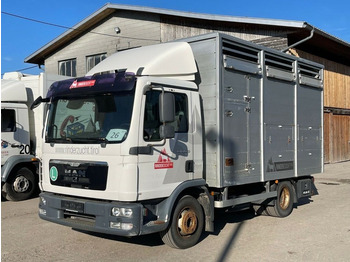 MAN TGL 12.220 Állatszállító - Livestock truck: picture 1