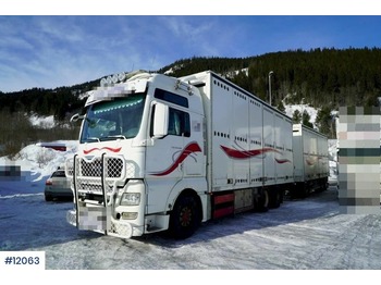 Box truck MAN TGX: picture 1