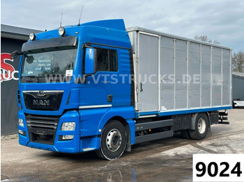 MAN TGX 18.500 4x2 Euro6 1.Stock Stehmann Viehtrans.  - Livestock truck: picture 1
