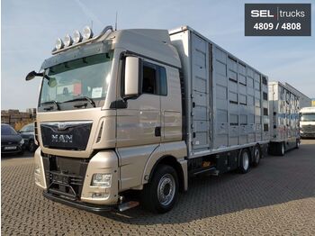Livestock truck MAN TGX 26.440/3 Stock /Lenkachse/Intarder /Komplett: picture 1