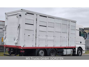 MAN TGX 26.440 FG 6x2  Menke Janzen 3 Stock  - Livestock truck: picture 4