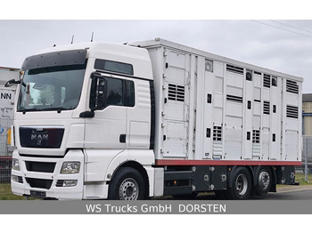 MAN TGX 26.440 FG 6x2  Menke Janzen 3 Stock  - Livestock truck: picture 1