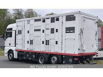 MAN TGX 26.440 FG 6x2  Menke Janzen 3 Stock  - Livestock truck: picture 3