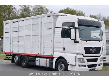MAN TGX 26.440 FG 6x2  Menke Janzen 3 Stock  - Livestock truck: picture 2