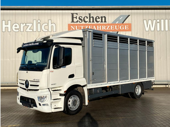 Mercedes-Benz 1830 Actros Menke/Janzen Viehtransporter*59TKM  - Livestock truck: picture 1
