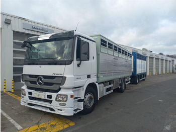 Mercedes-Benz Actros - Livestock truck: picture 1