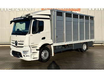 Mercedes-Benz Actros 1830 Horse transporter - Livestock truck: picture 1