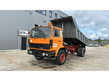 Renault G 290 Manager (GRAND PONT / POMPE MANUELLE / SUSP. LAMES / MANUAL PUMP) - Tipper: picture 1