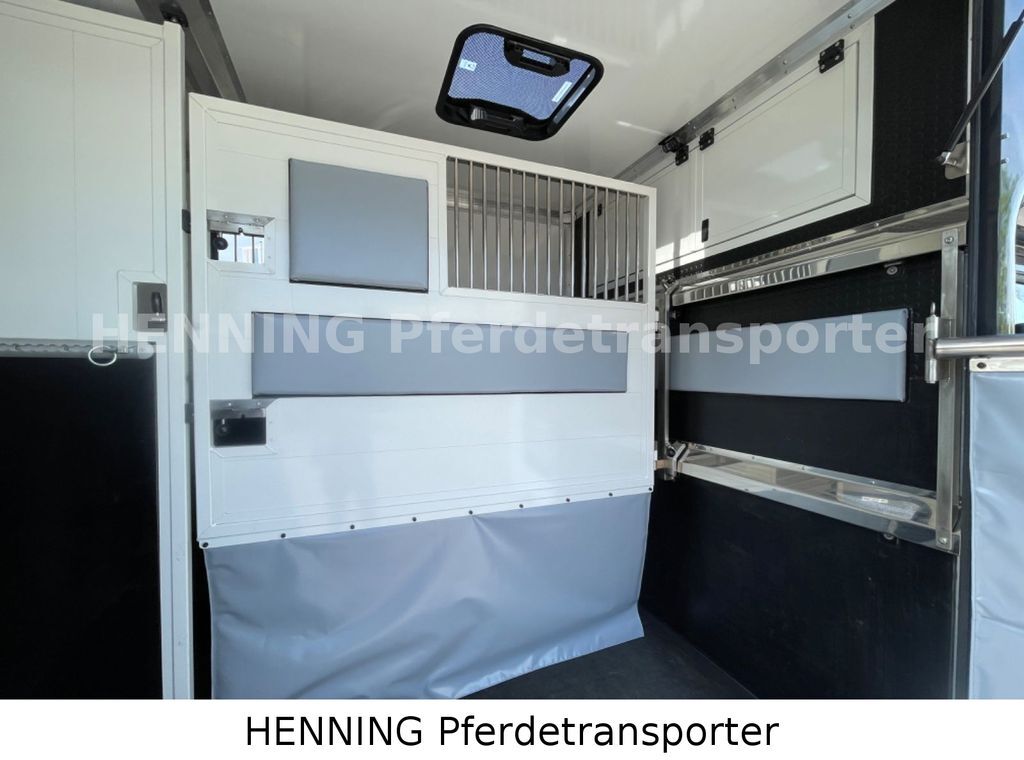Horse truck, Commercial vehicle Renault Master 3 - Sitzer *KURZ*: picture 9