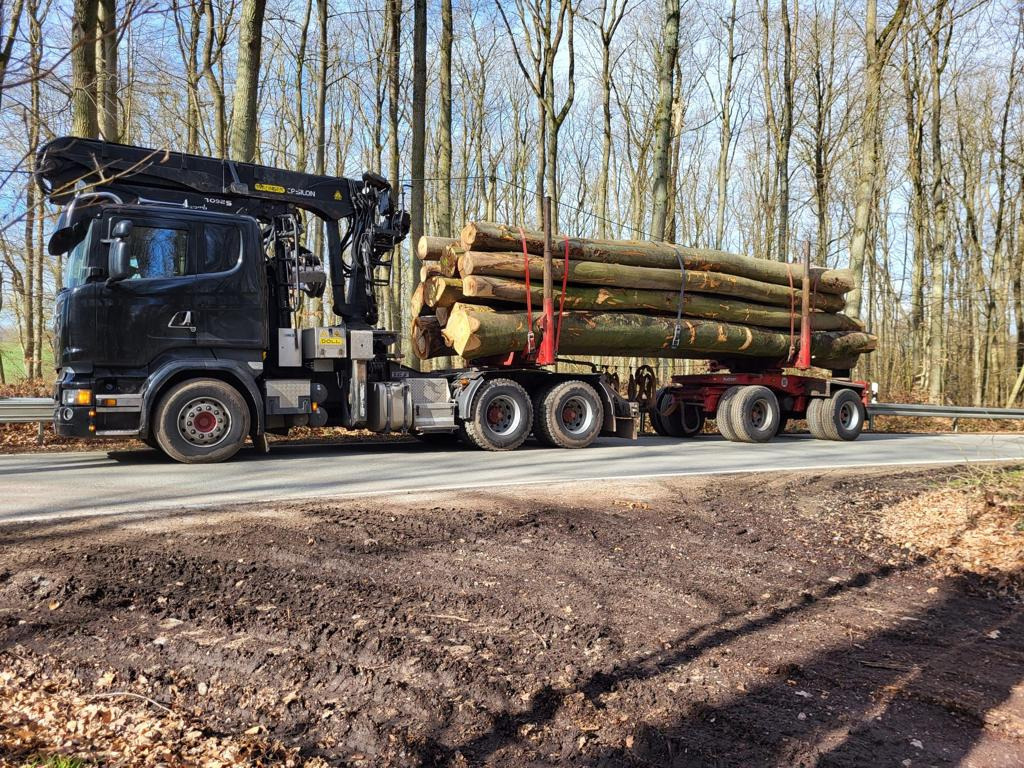 SCANIA R730 - Timber truck, Crane truck: picture 3