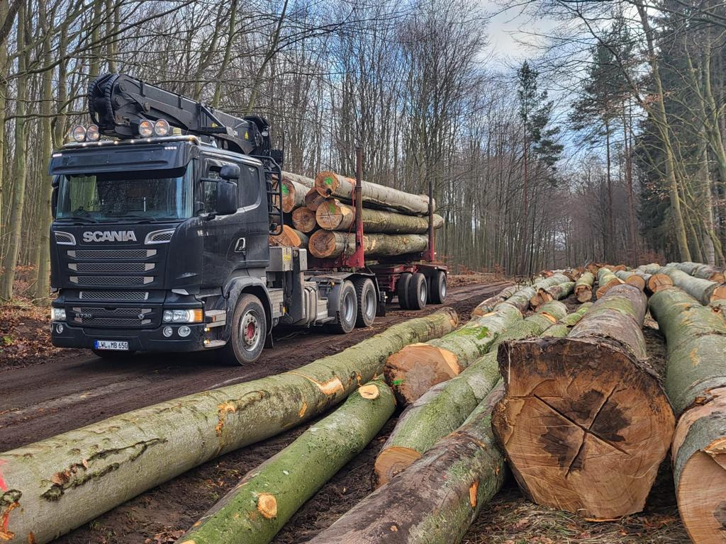SCANIA R730 - Timber truck, Crane truck: picture 4