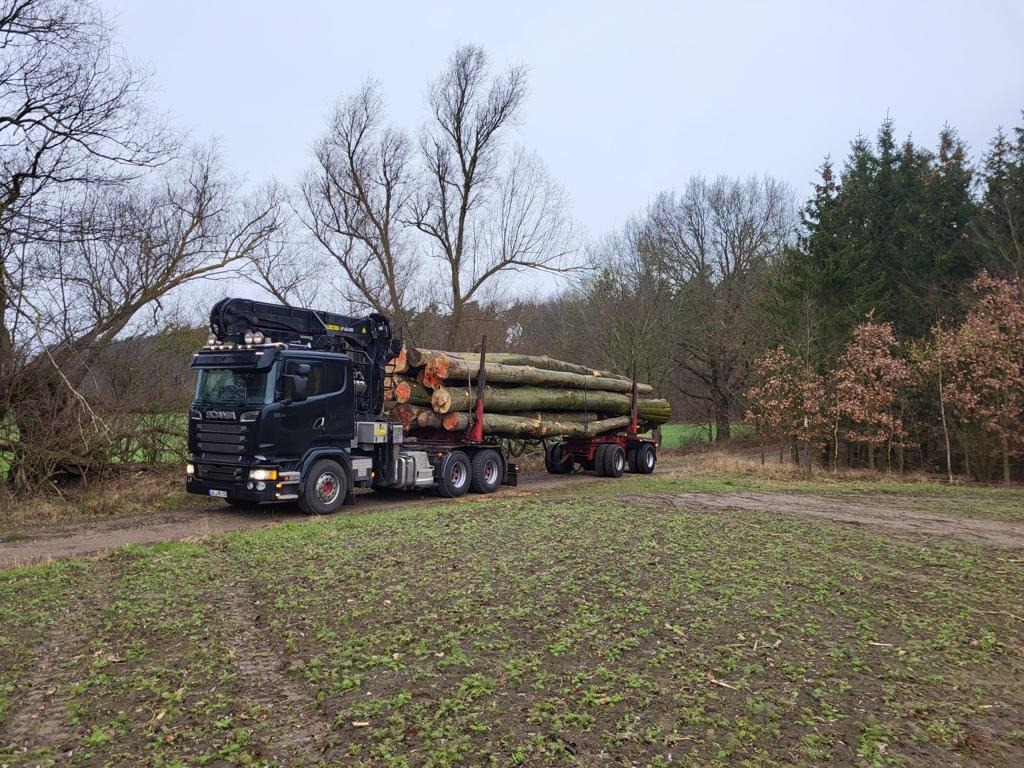 SCANIA R730 - Timber truck, Crane truck: picture 5