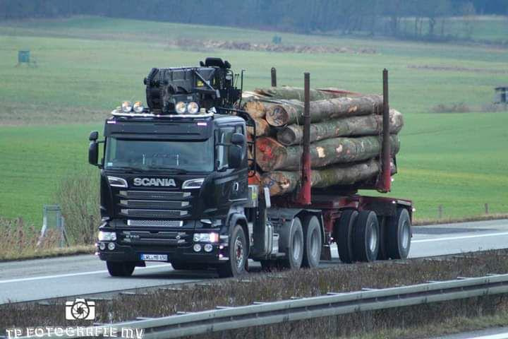 SCANIA R730 - Timber truck, Crane truck: picture 1