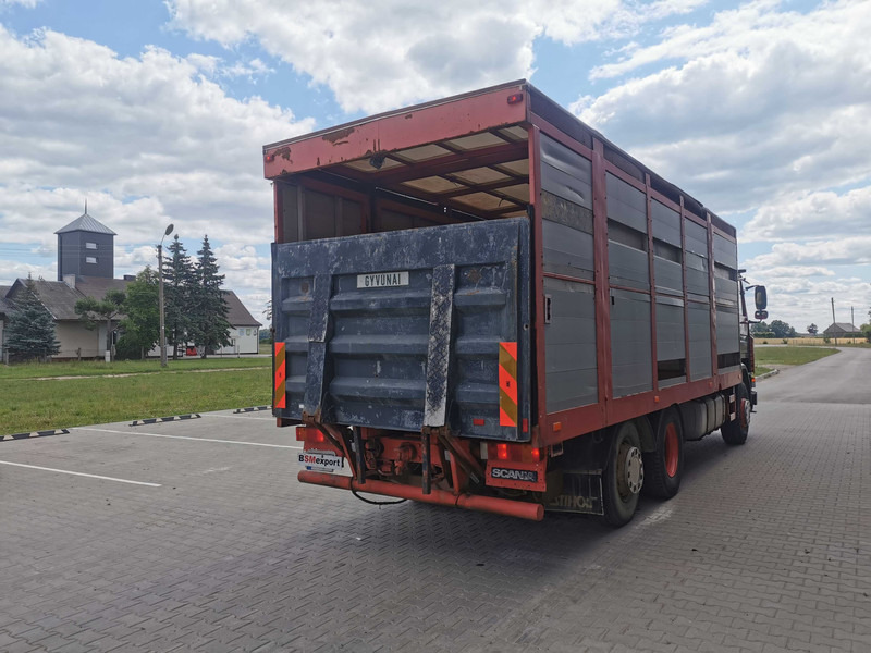 Scania 113 livestock truck - Livestock truck: picture 4
