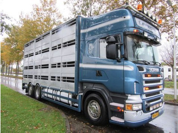 Scania R500 V8 R500LB6X2*4MLA - Livestock truck: picture 1