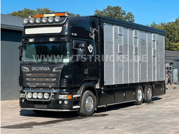 Scania R730 V8 6x2 2.Stock Stehmann + Hubdach, Vollluft  - Livestock truck: picture 1