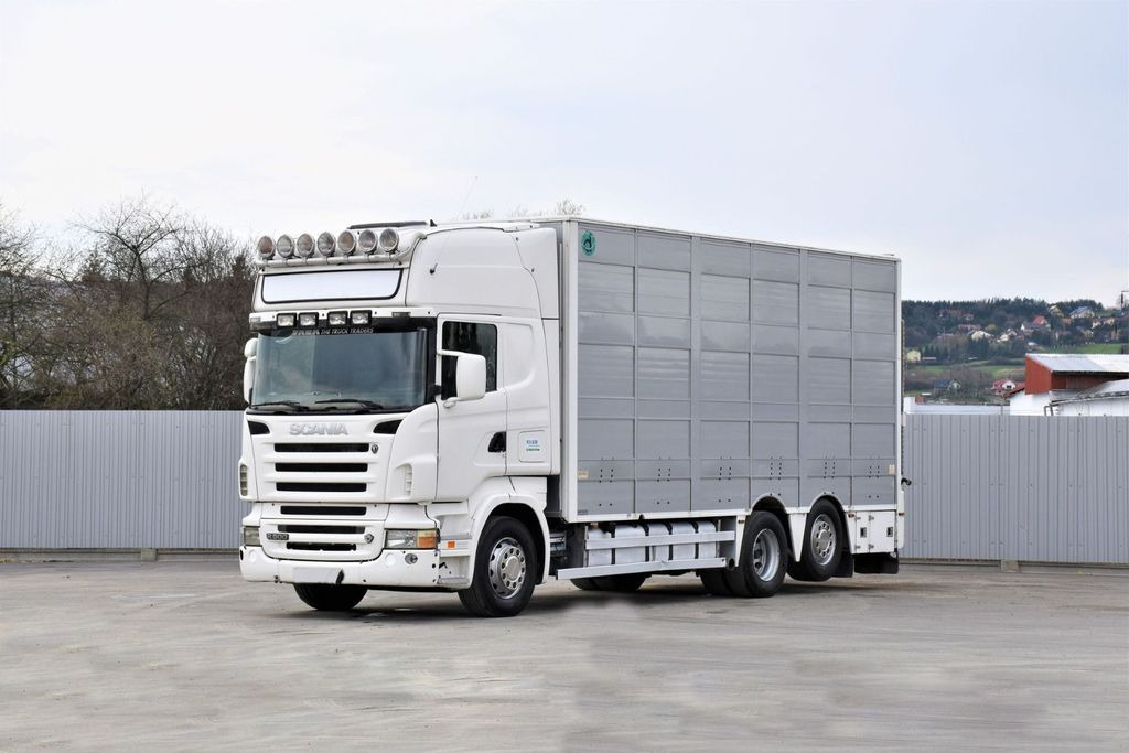 Scania R 500 TIERTRANSPORTWAGEN 7,10m / 4STOCK  - Livestock truck: picture 1