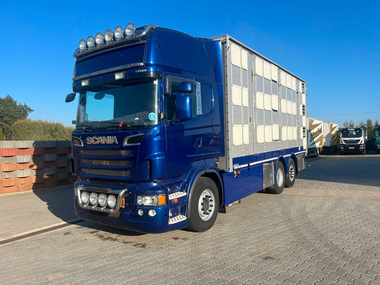Scania R 620 - Livestock truck: picture 1