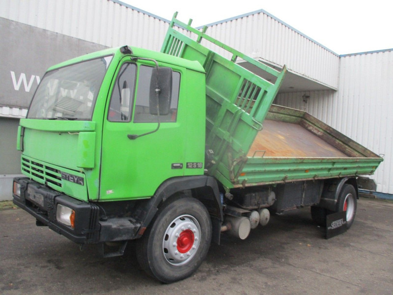Steyr 17S18 , Manual , 2 way tipper , Euro 2, Spring suspension - Tipper: picture 1