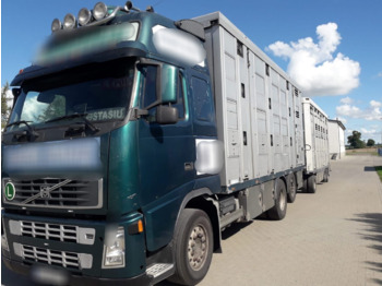 Volvo FH 12 Animal transporter - Livestock truck: picture 1