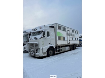 Livestock truck Volvo FH 13: picture 1