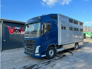 Livestock truck VOLVO FH 500