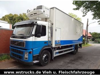 Refrigerator truck Volvo FH 9 260 Chereau Rohrbahn/Meat  Thermoking TS500: picture 1