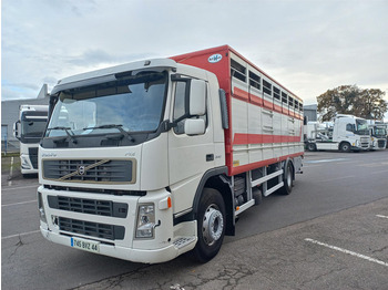 Volvo FM - Livestock truck: picture 1