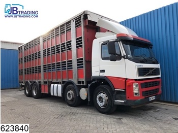 Livestock truck Volvo FM13 400 8x2, Steel suspension, Retarder, Manual: picture 1