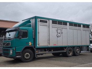 Volvo FM 360 mit KABA Einstock 7,50 m Vollalu  - Livestock truck: picture 1