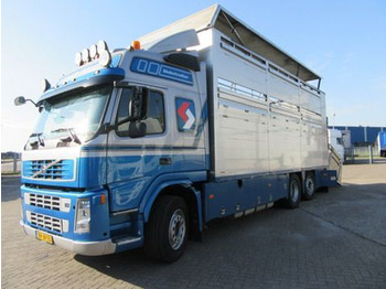 Volvo FM 9 - Livestock truck: picture 1