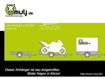  Brenderup - Cargo Dynamic CD300TBD2000 Türe, Kofferanhänger 2,0 to. 300x153x185cm - Closed box trailer: picture 1