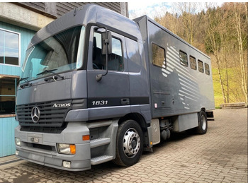 Mercedes-Benz ACTROS 1831 Horse Transporter - Horse truck: picture 1