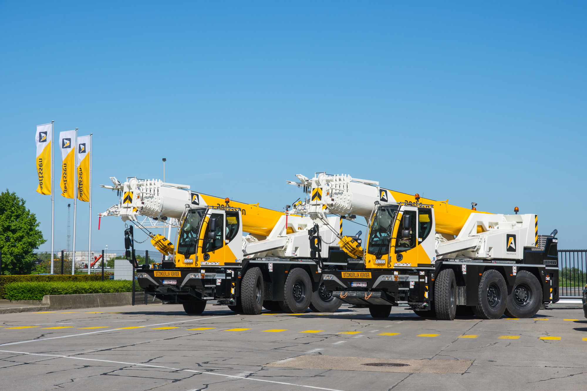 Aertssen Trading NV - Tractor units MAN - 4x2 undefined: picture 1