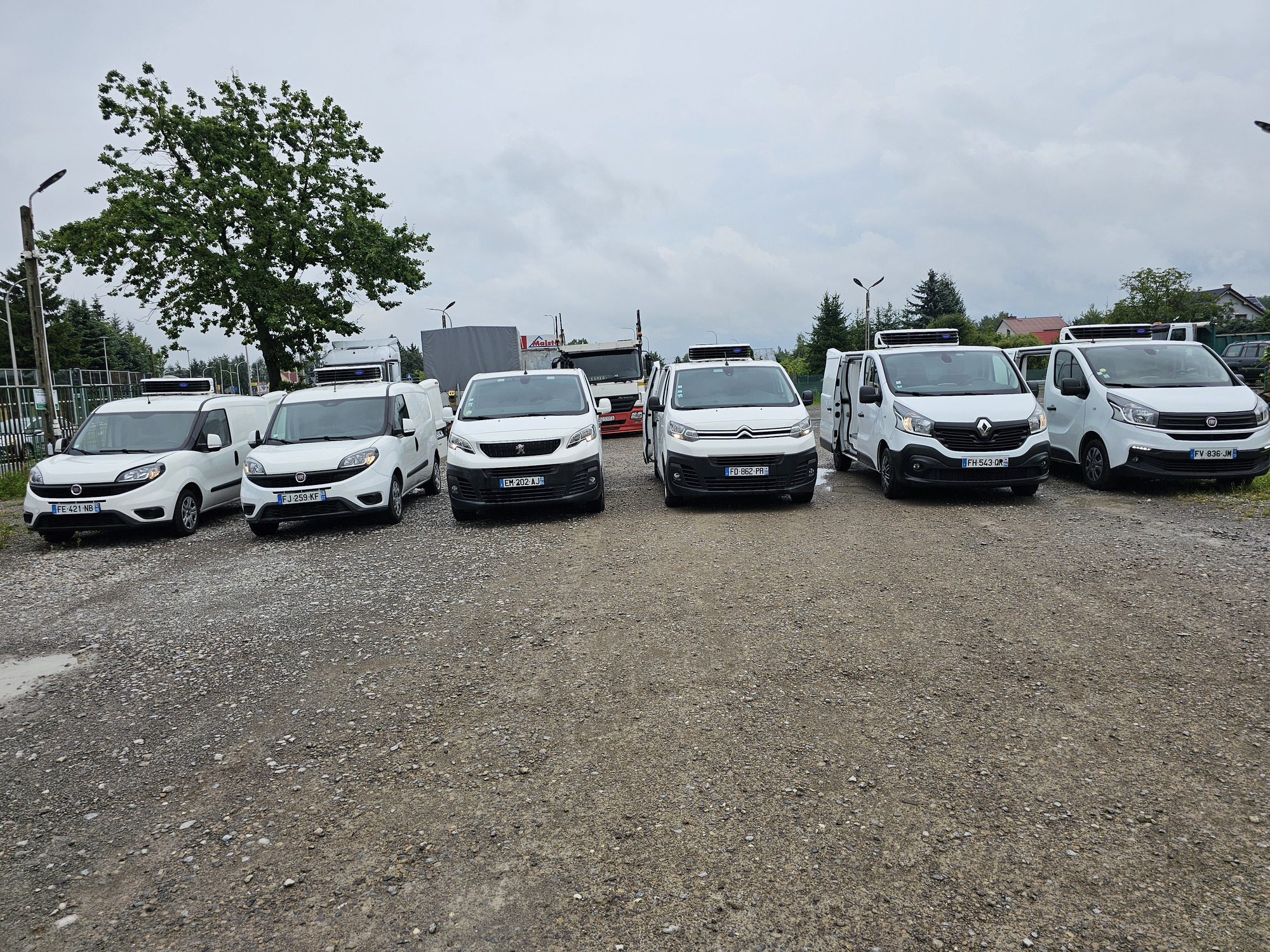 Krzysztof Konefał - Auto-Handel ImportExport - Commercial vehicles NISSAN - electro undefined: picture 1