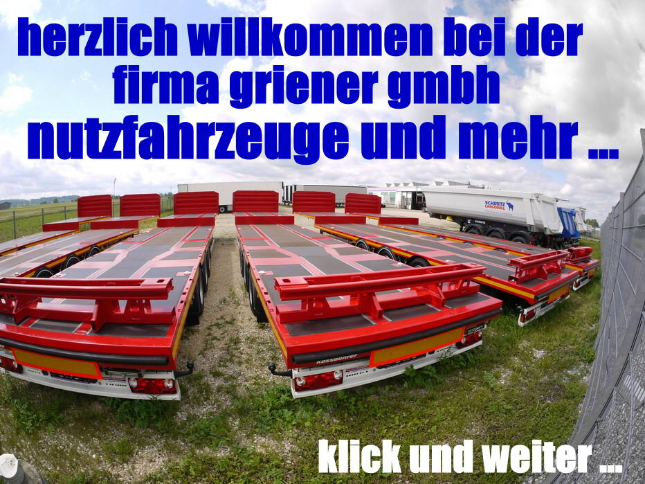Griener gmbh nutzfahrzeuge und mehr ... - Trailers WEB TRAILER - 2-axle undefined: picture 1