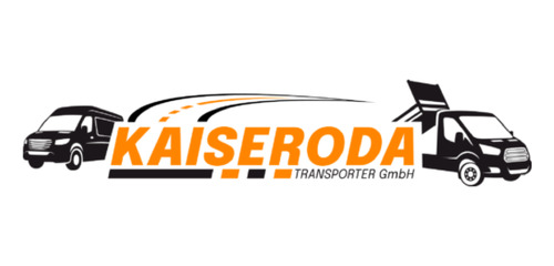 Panel van FORD Transit
