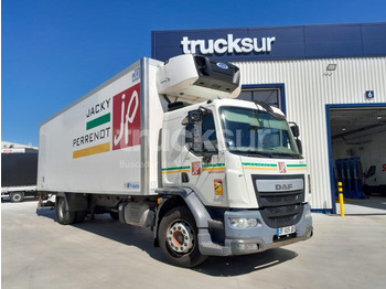 Refrigerator truck DAF LF 310 FA FRC: picture 2