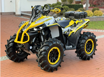 Side-by-side/ ATV