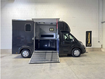 Horse truck FIAT