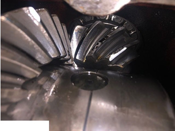 Differential gear CARRARO