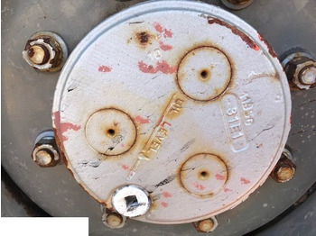 Steering knuckle CARRARO