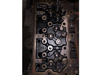 Cylinder head MASSEY FERGUSON